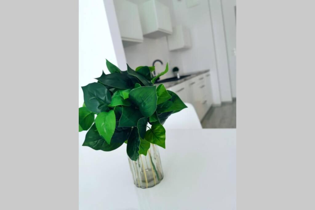 Green Apartment Promenada Gwiazd- Widok Na Morze. Miedzyzdroje Bagian luar foto